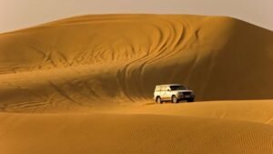 Insurance for Delivery Couriers and Last-Mile Logistics in Dubai Covering Motorcycles, Vans, and E-Cargo Bikes
